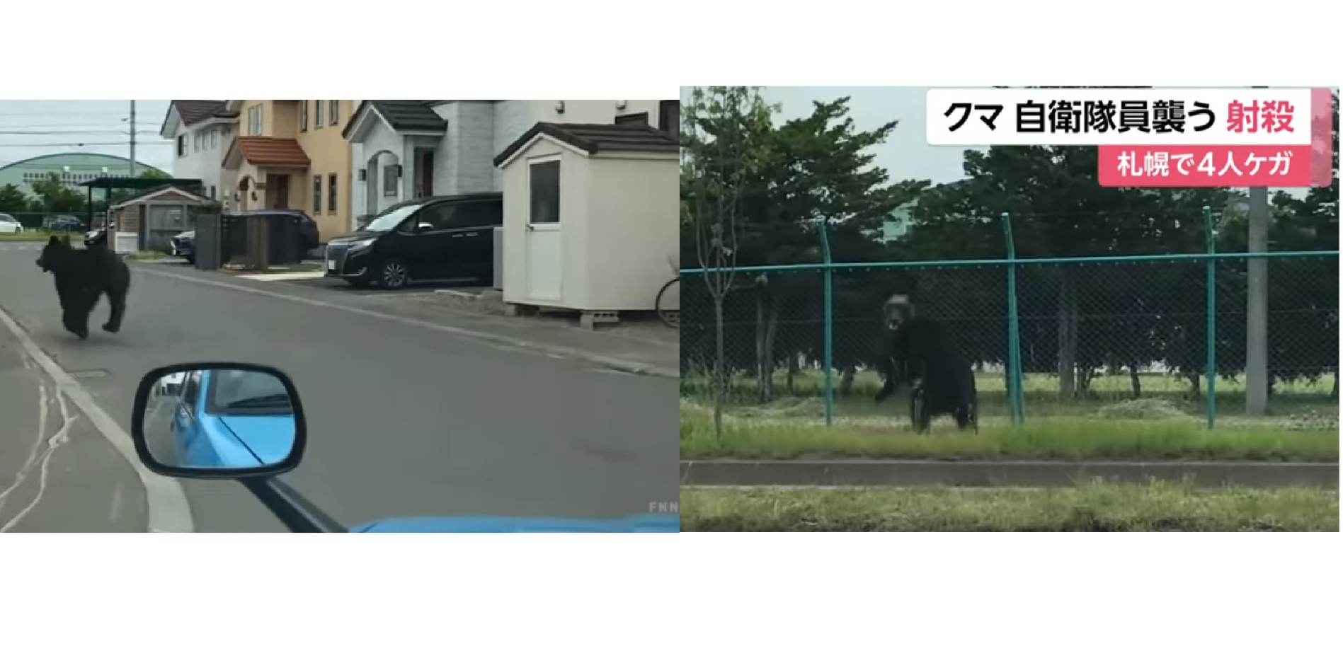 またフジテレビ！？札幌に出現したクマは、撮影クルーに煽られ暴走し自衛隊員を襲った