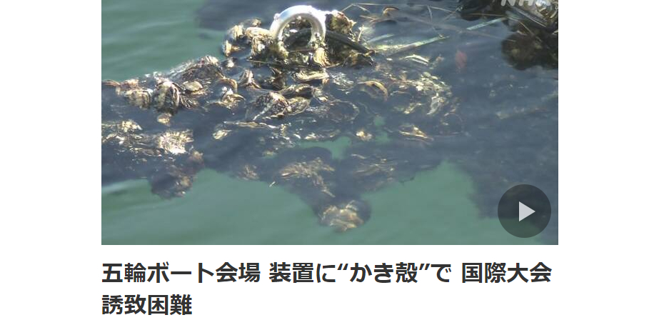 NHKが悪質な世論誘導！と東京都が抗議文！！「海の森水上競技場」の「かき殻被害」デタラメ報道