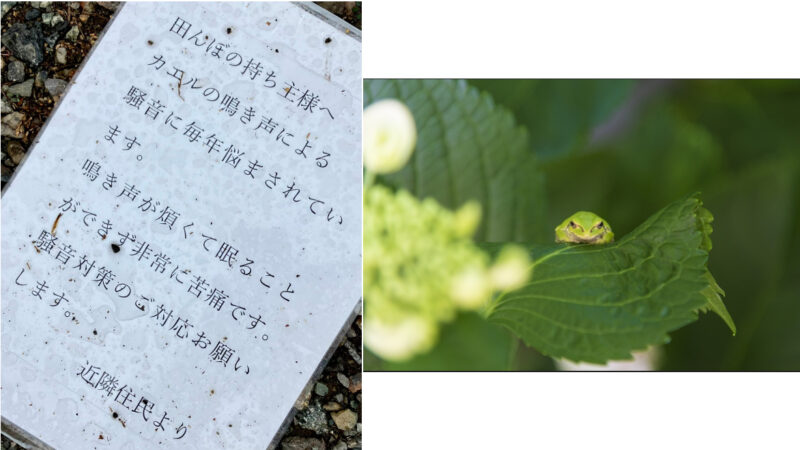 田んぼのカエルの鳴き声は騒音！対策してほしい！のビラ　ネットで「無茶苦茶やん」「耳栓オススメします」